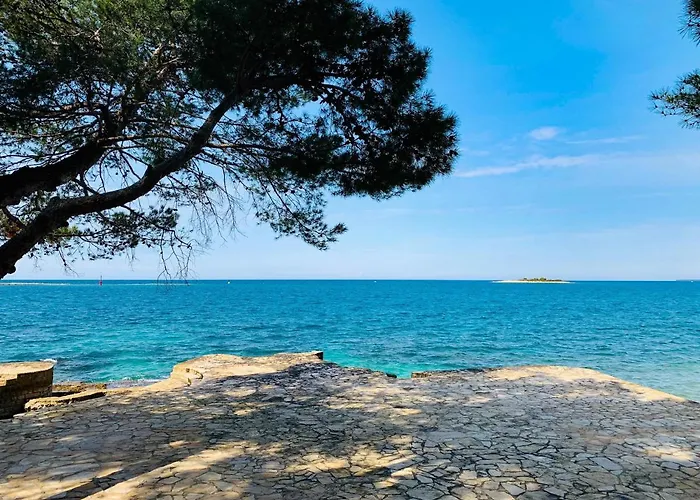 App Fiorela * 포레치